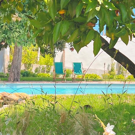 Casa Bizarra Villa Castanheira de Pera Dış mekan fotoğraf