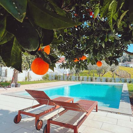 Casa Bizarra Villa Castanheira de Pera Dış mekan fotoğraf