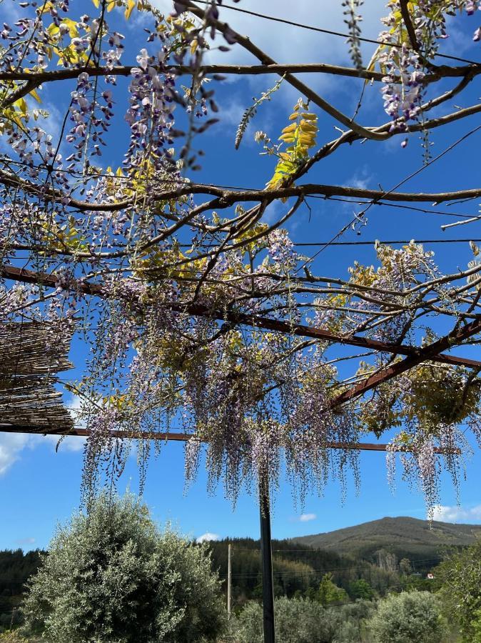 Casa Bizarra Villa Castanheira de Pera Dış mekan fotoğraf