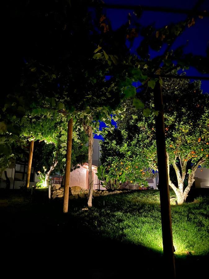 Casa Bizarra Villa Castanheira de Pera Dış mekan fotoğraf