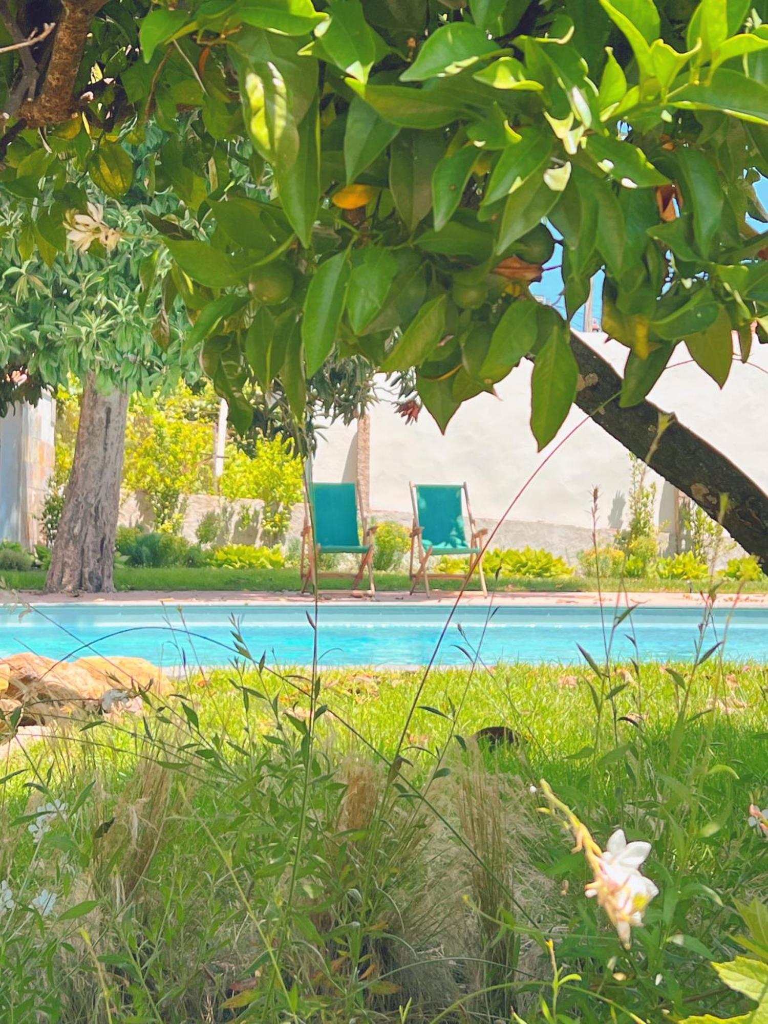 Casa Bizarra Villa Castanheira de Pera Dış mekan fotoğraf